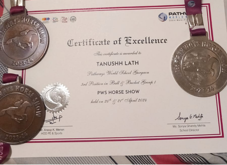 Medals and a certificate from the inter-school horse-riding competition