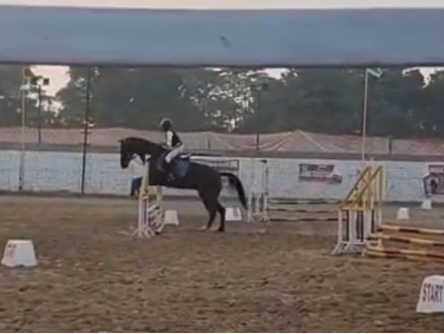 Riding a round in the arena at the Janak Equestrian Show